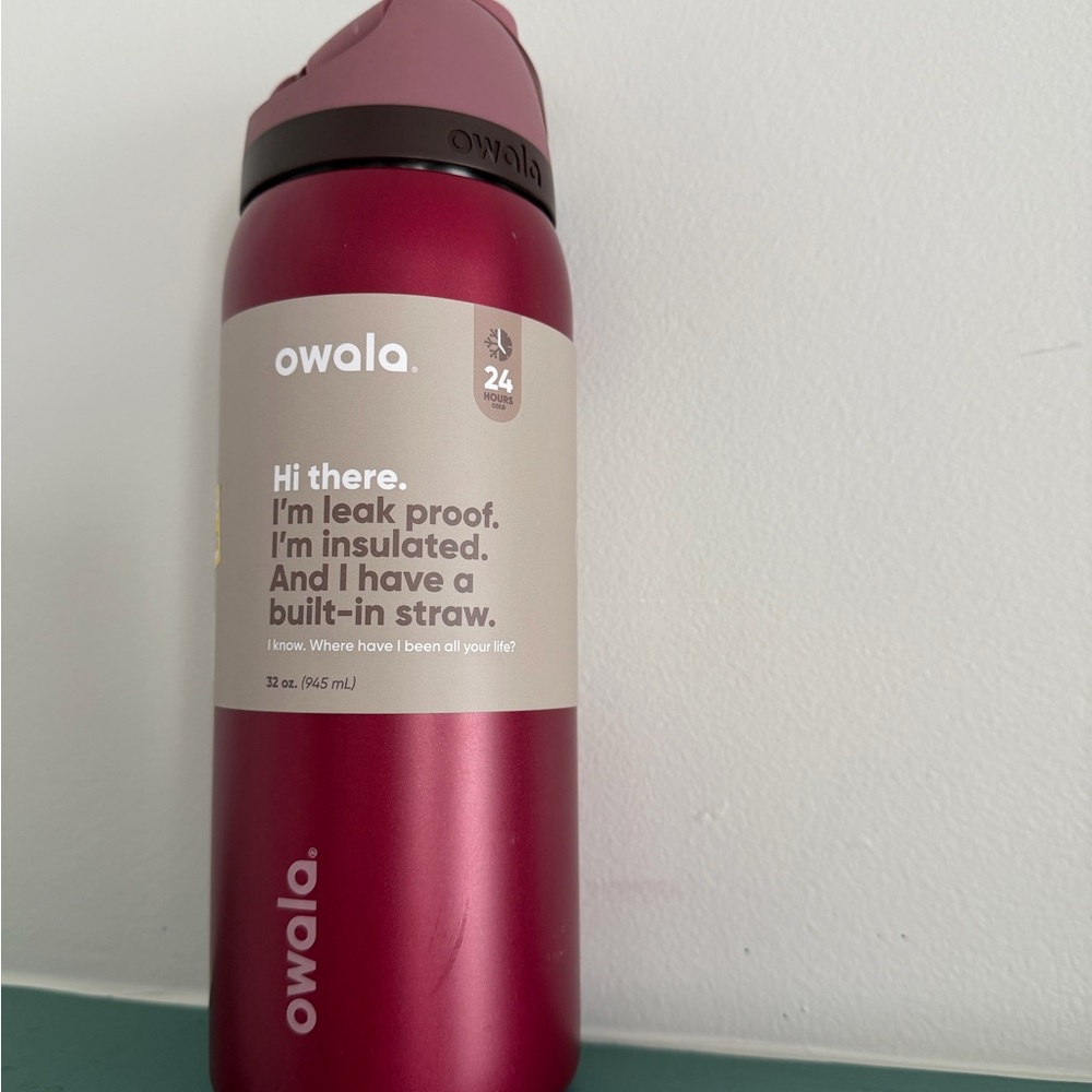 Owala Insulated Water Bottle - Poinsettia